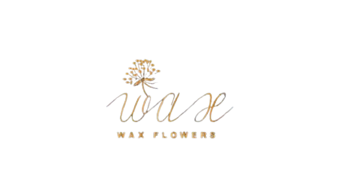 wax-flowers